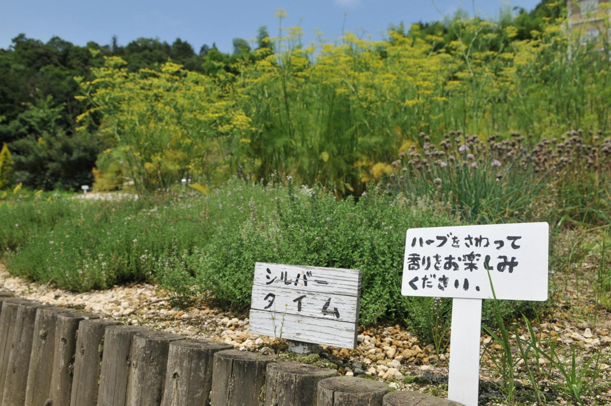 Hashidate Bay Hotel 2*